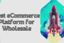 Best eCommerce Platform for Wholesale