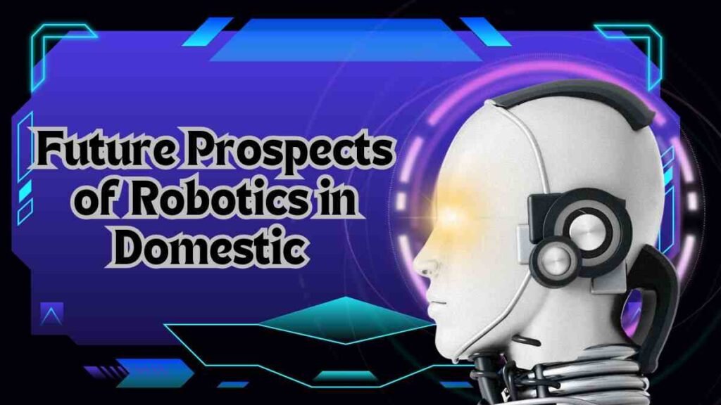 Future Prospects of Robotics in Domestic 